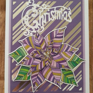 Poinsettia de Noël Rayures Violet