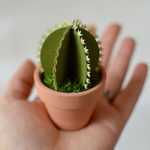 Mini succulenta di carta in vaso di terracotta - Cactus rotondo - succulente di carta - Cactus di carta - Mini cactus - Decorazione di cactus - Pianta di carta