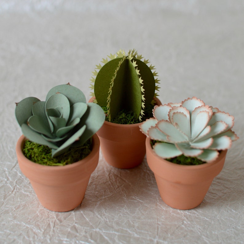 Mini Paper Succulent in Terracotta Pot - Echeveria - Paper Succulents - Paper Cactus - Mini Succulents - Succulent Decor - Cactus Decor image 2