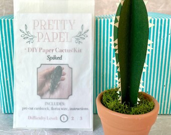 DIY Paper Cactus Kit, Spiked