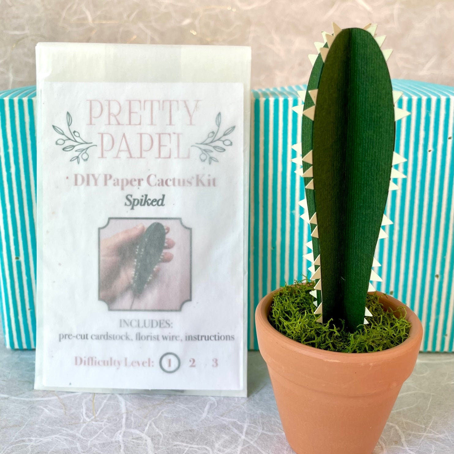 DIY Paper Cactus, The Complete Crafting Kit – Pretty Papel