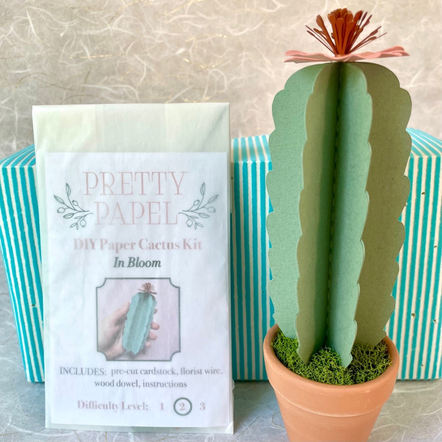 DIY Paper Cactus, The Complete Crafting Kit – Pretty Papel