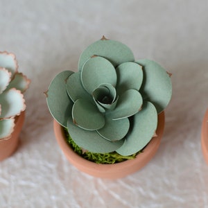 Mini Paper Succulent in Terracotta Pot - Echeveria - Paper Succulents - Paper Cactus - Mini Succulents - Succulent Decor - Cactus Decor image 5