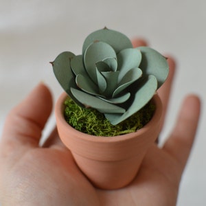 Mini Carta Succulenta in Vaso di Terracotta - Echeveria - Succulente di carta - Cactus di carta - Mini Succulente - Succulent Decor - Cactus Decor