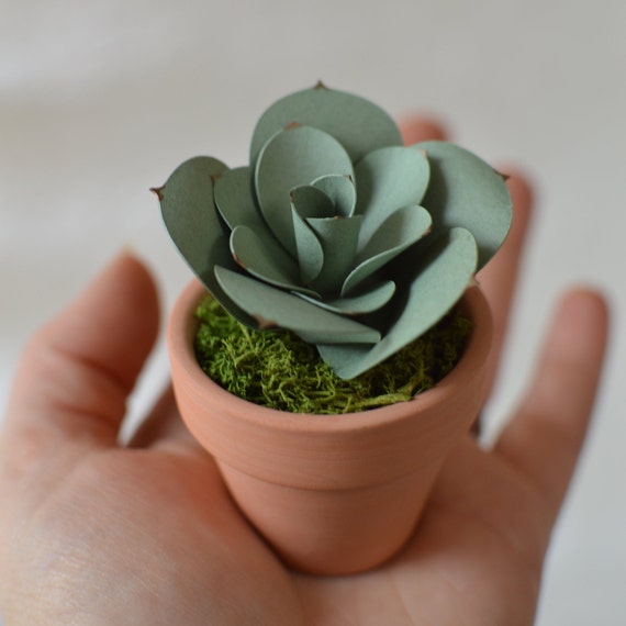 Mini Paper Succulent in Terracotta Pot - Echeveria - Paper Succulents - Paper Cactus - Mini Succulents - Succulent Decor - Cactus Decor