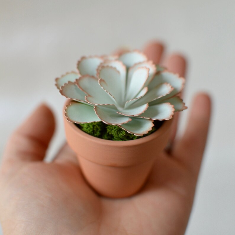 Mini Paper Succulent in Terracotta Pot - Echeveria - Paper Succulents - Paper Cactus - Mini Succulents - Succulent Decor - Cactus Decor Scalloped Edge