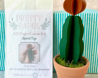 DIY Paper Cactus Kit, Barrel Top