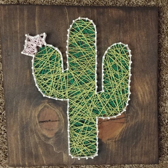 mammillaria weingartiana Mammillaria candida