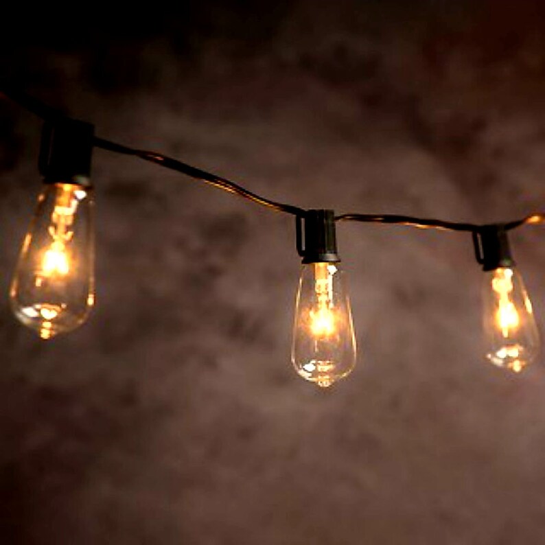 Edison Bulb String Lights Indoor Outdoor Wedding Decorations Image 0