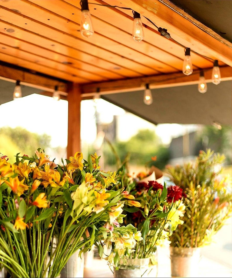 E12 Edison Bulb Replacement Bulbs for String Lights Indoor Etsy