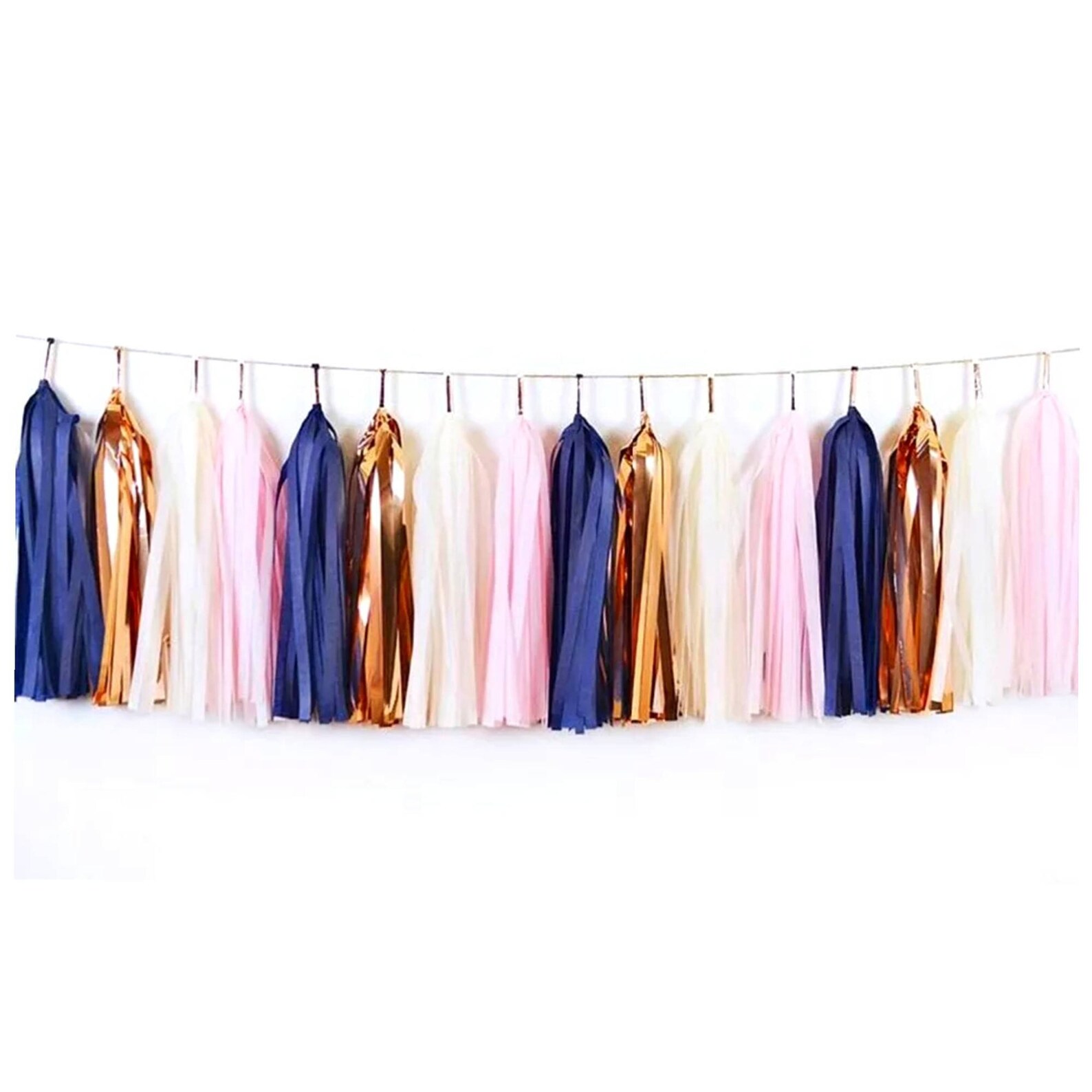 Tissue Paper Banner/blush Tassel Garland/blush and Champagne Etsy
