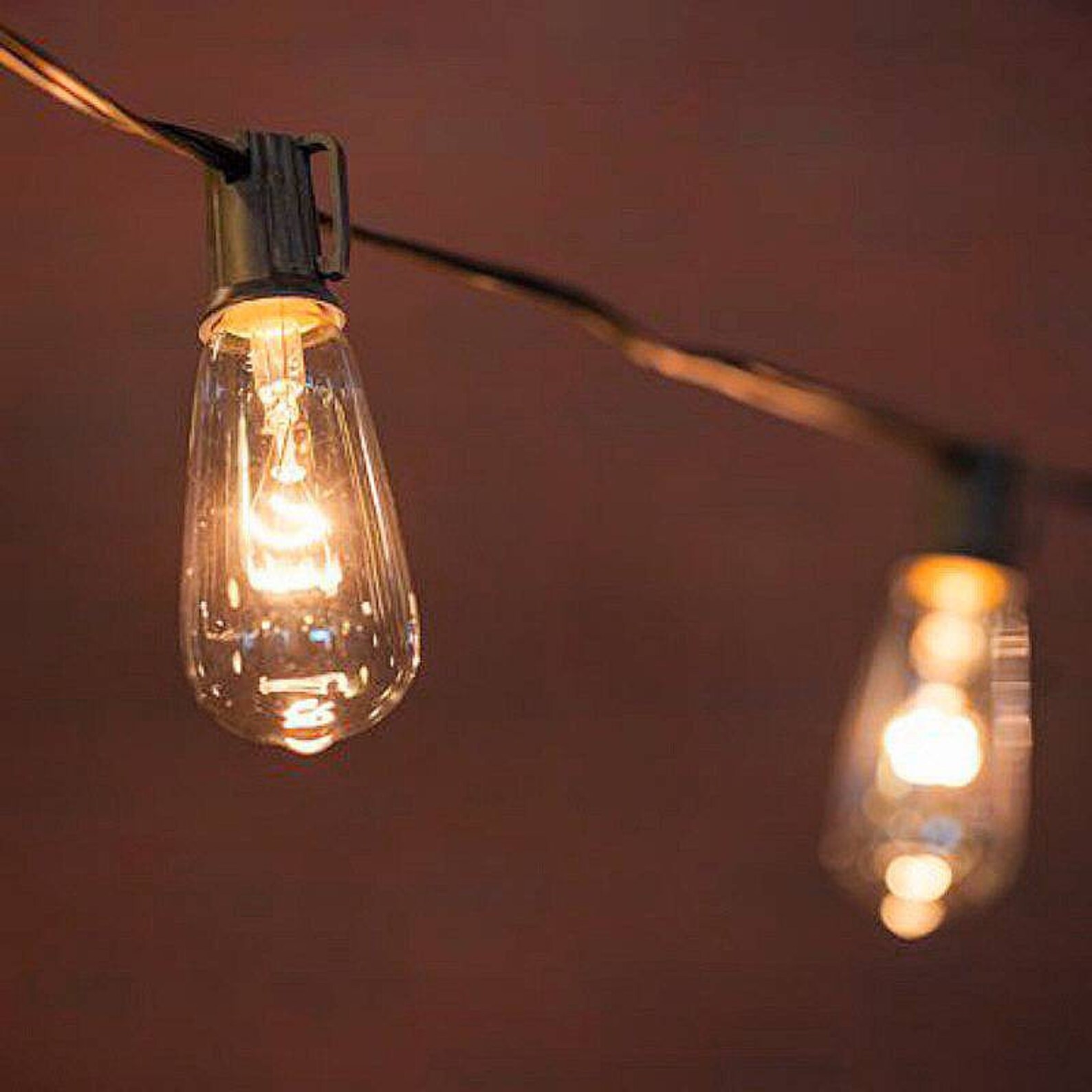 E12 Edison Bulb Replacement Bulbs for String Lights Indoor Etsy