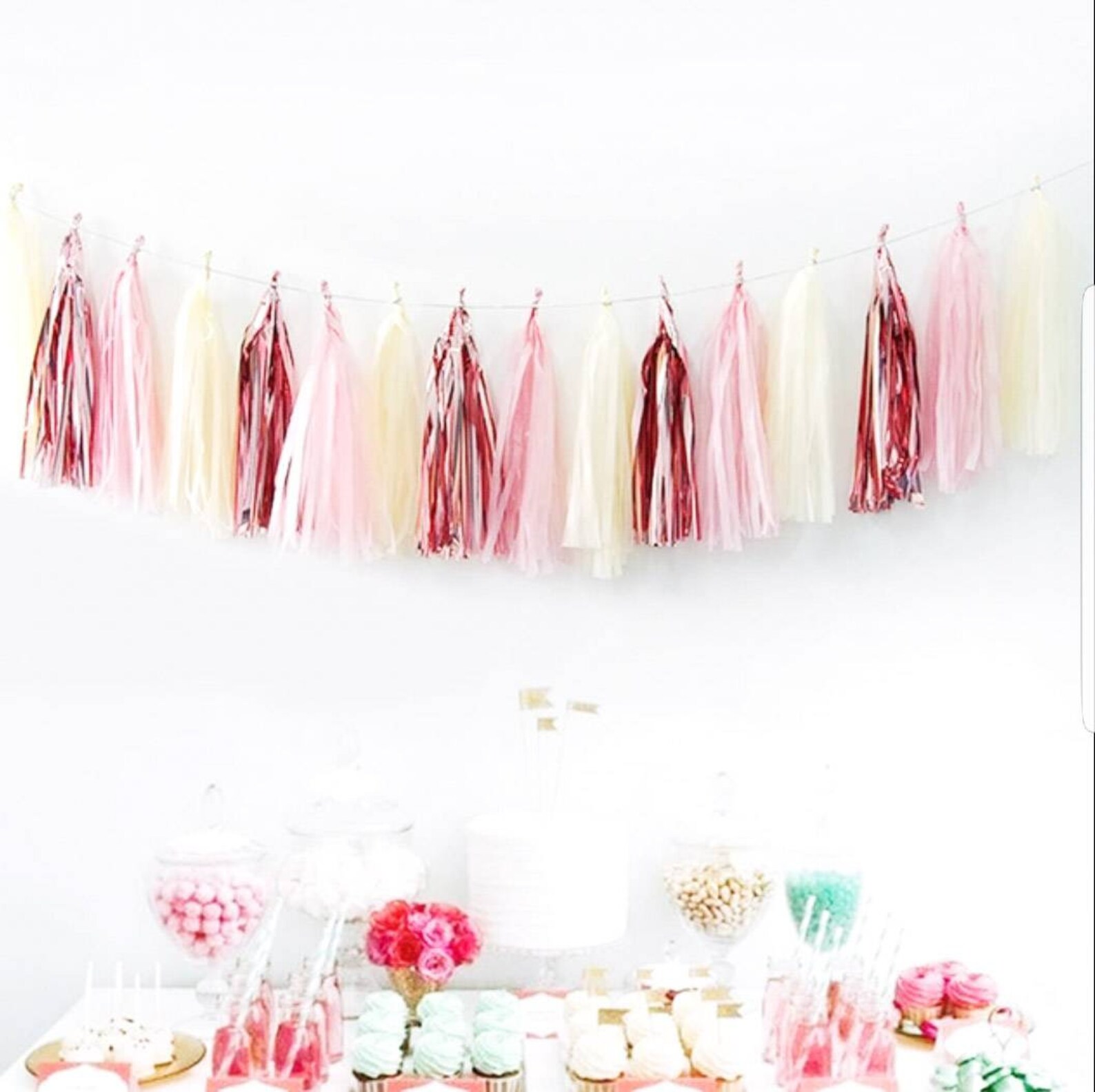 Tissue Paper Banner/blush Tassel Garland/blush and Champagne Etsy