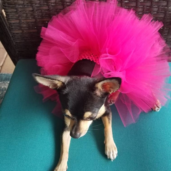 Dog Tutu Etsy