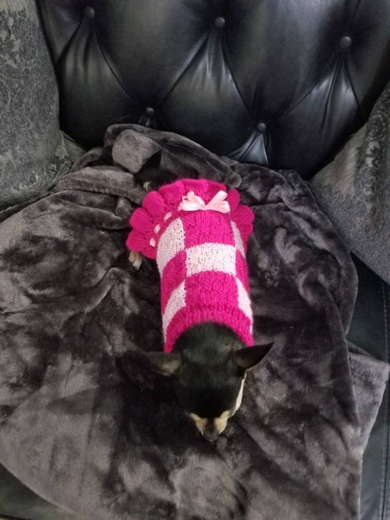 Dog ruffle sweater. Dog knit sweater