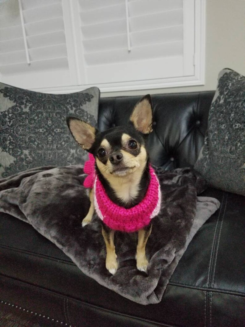 Dog ruffle sweater. Dog knit sweater