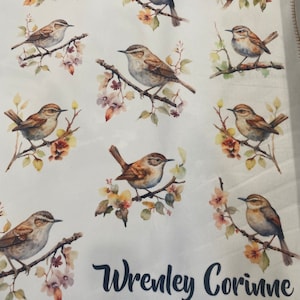 personalized  baby blanket, custom blanket, plush, wren, birds, baby shower gift