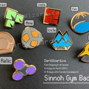 Sinnoh Gym Badges With Display Board, Metal Pin, for Collection and Cosplay, Christmas Gift, Anime present