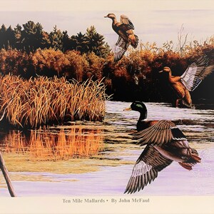 Op de afbeelding: Een schilderij van drie wilde eenden in de vlucht boven een vijver. De eenden zijn bruin en groen met witte veren. De vijver is omgeven door hoog riet en bomen. Het schilderij is getiteld "Ten Mile Mallards" door John McFaul.