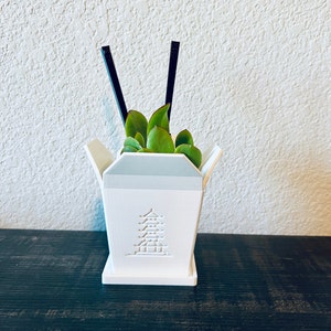 Chinese Take-out Box Succulent Planter with Chopsticks and Tray