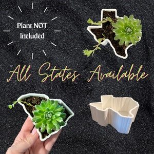 State Shaped Succulent Planter, Candy Dish, All 50 States Available