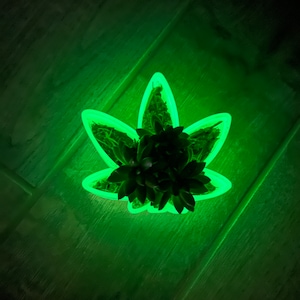May include: A green neon light shaped like a marijuana leaf with a small succulent plant inside.