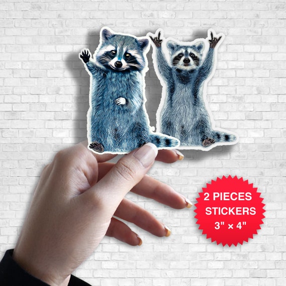 Cute Raccoon Sticker