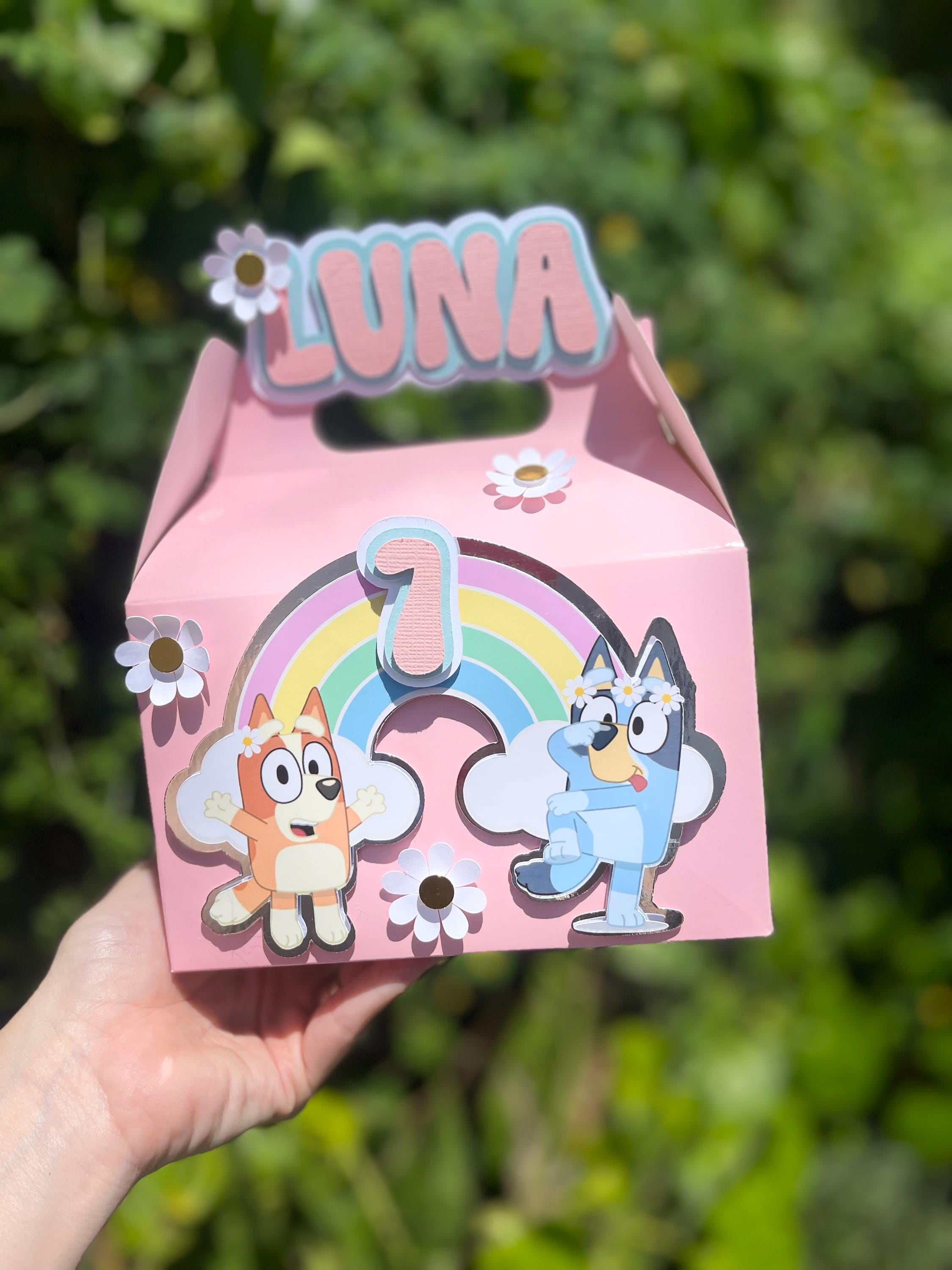 3D Bluey & Bingo Favor Boxes - Set of 6