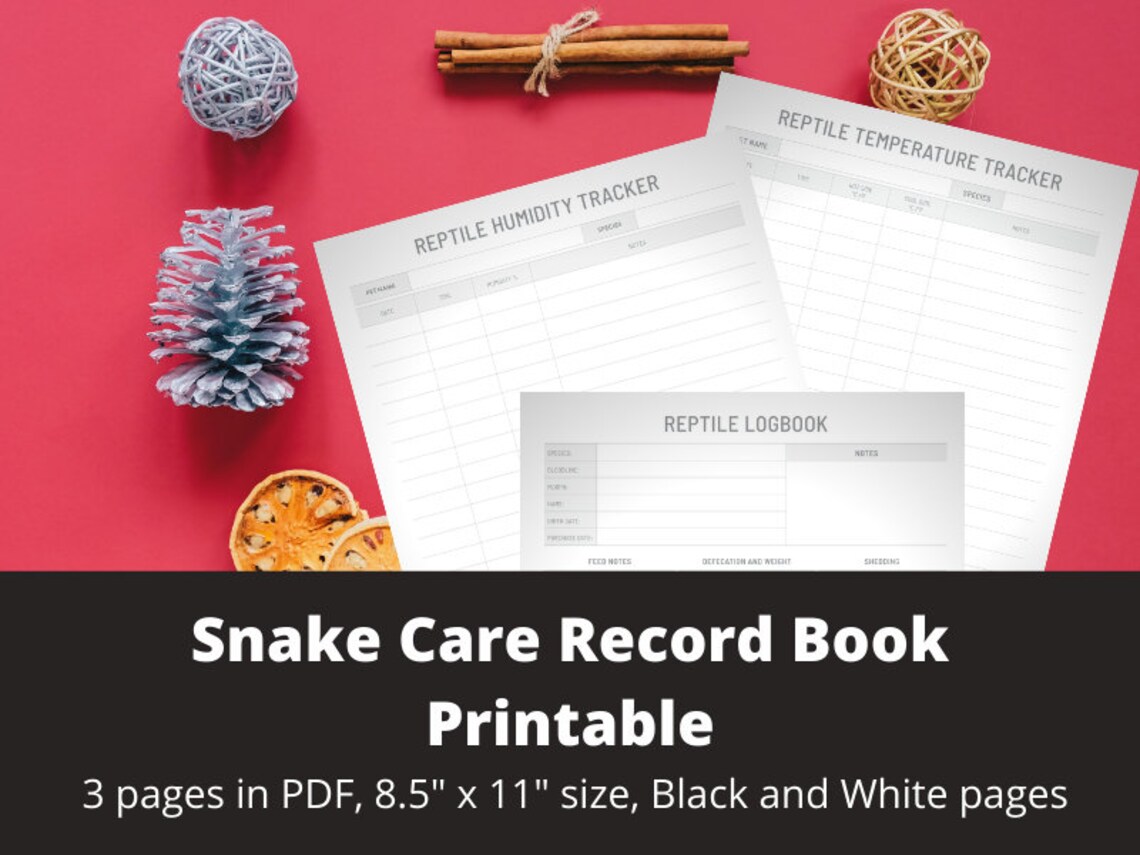 Snake Care Record Book Printable Digital Instant Download Etsy