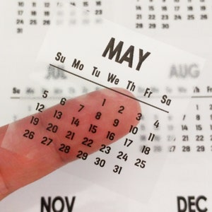 T008 2026 Clear Mini Calendars Sticker, calendar sticker, monthly sticker, clear sticker