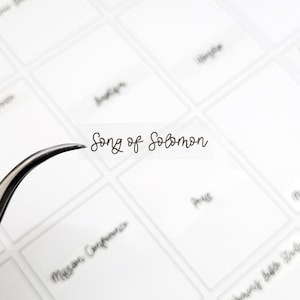May include: A clear plastic label with the text "Song of Solomon" written in brown cursive script. The label is being held by tweezers.