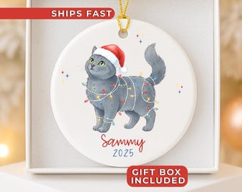 Personalized Cat Ornament, Funny Custom Cat Christmas Ornament, Cat Owner Ornament, Cat Lover Gift, Gray Cat Ornament 2025, Christmas Gift