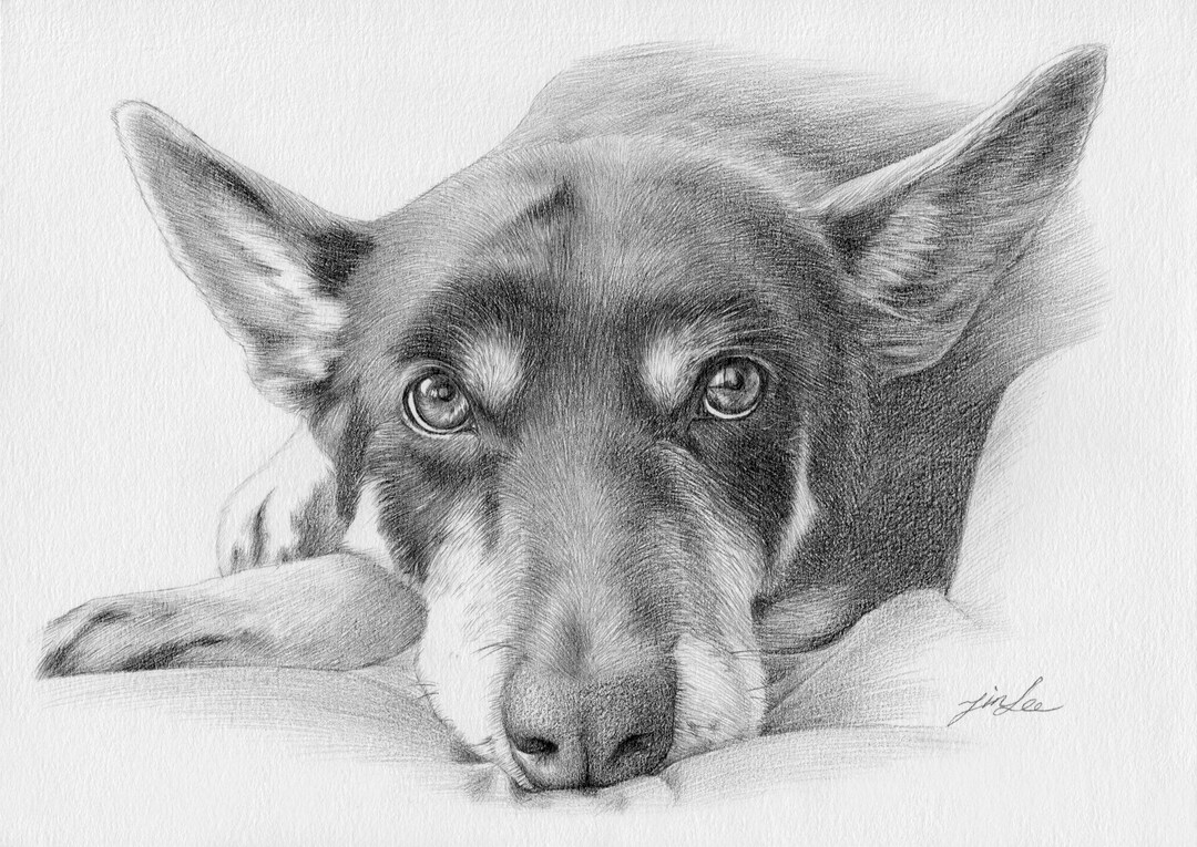 Custom Portrait, Pet Portrait Drawingdog, Cat. Etc, Pencil Drawing,pet Drawing, Pencil Portrait