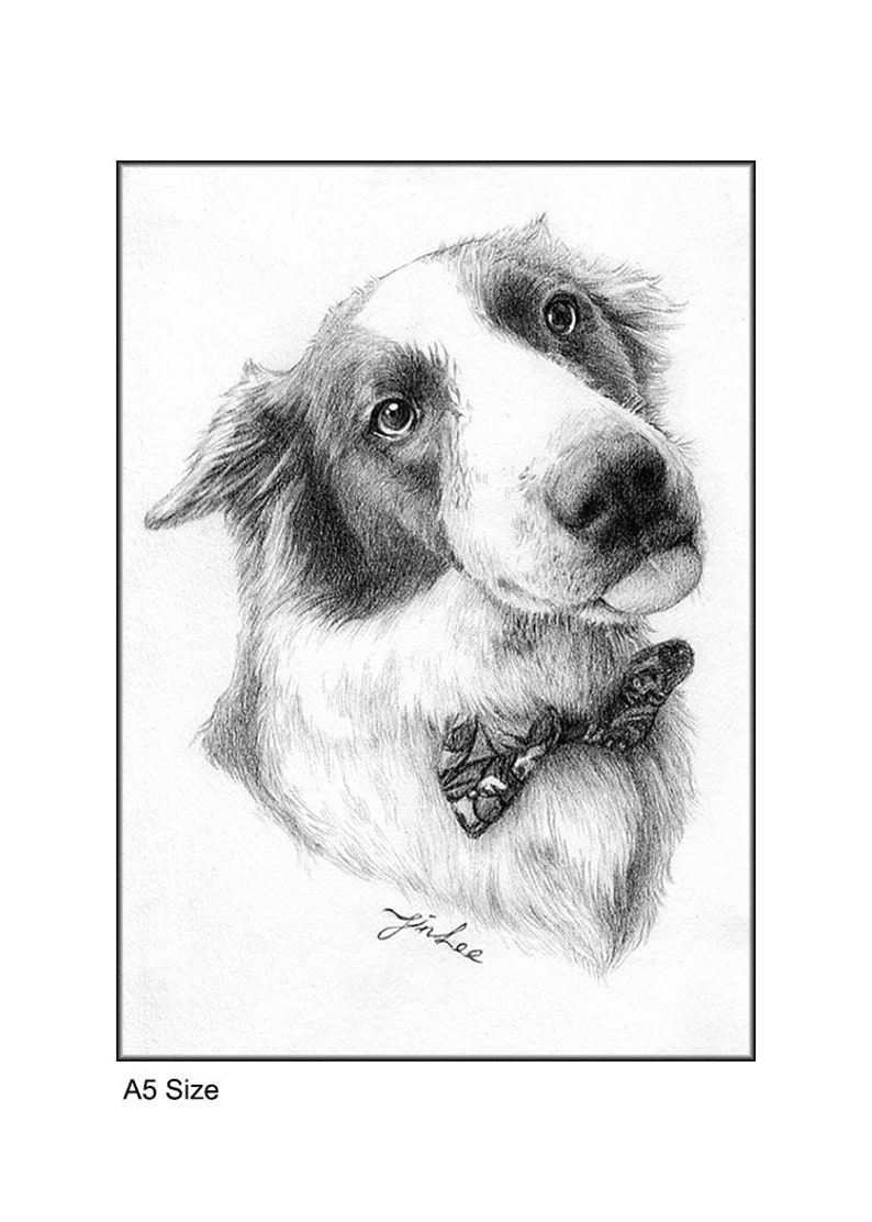 dog, cat. etc pet portrait drawing pencil portrait from a photo. pencil drawing,pet drawing Custom portrait