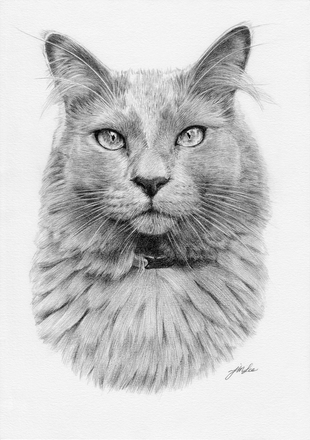 Custom cat portrait pencil drawing pet drawing pencil Etsy
