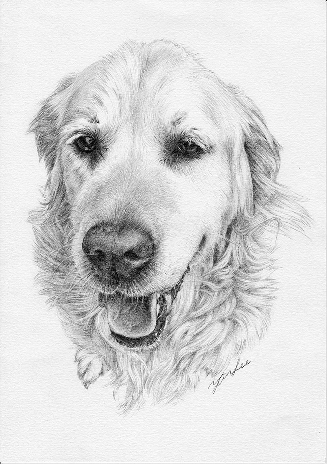 Custom Portrait Pet Portrait Drawingdog Cat. Etc Pencil Etsy Australia