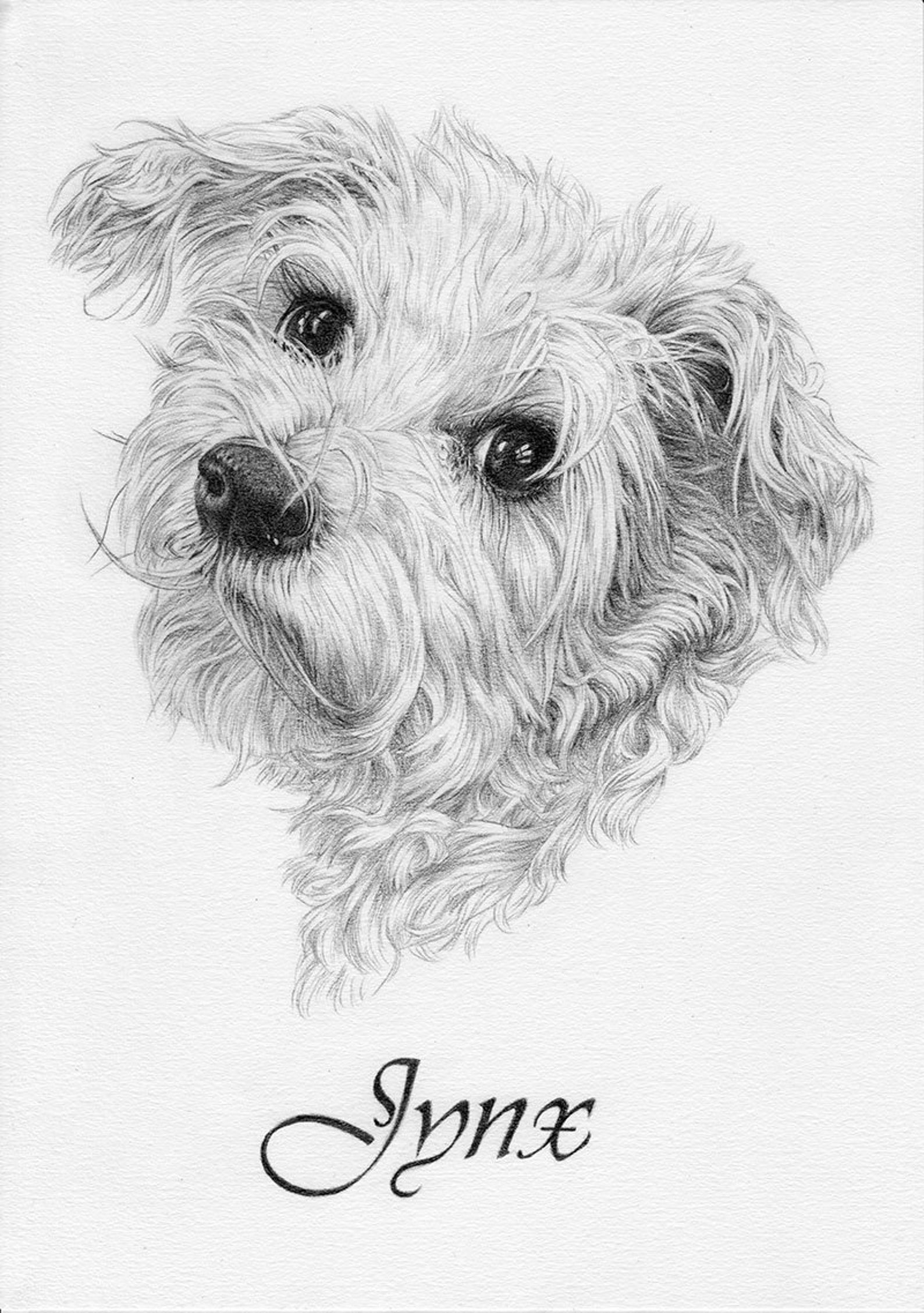 Custom Portrait Pet Portrait Drawingdog Cat. Etc Pencil Etsy Australia