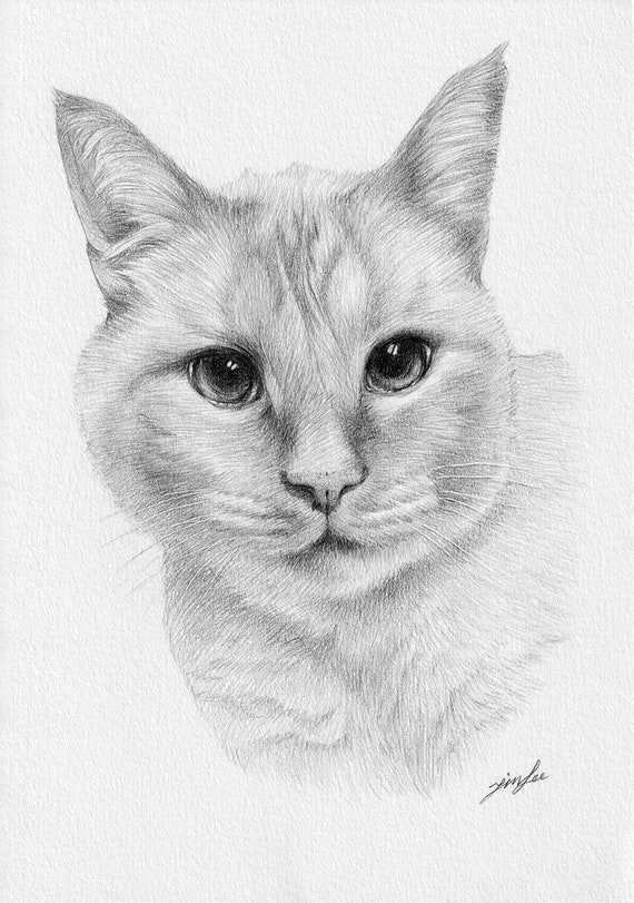 Рисунки животных карандашом