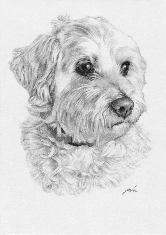 Urns & Memorials pet portrait drawing pencil drawing,pet drawing dog