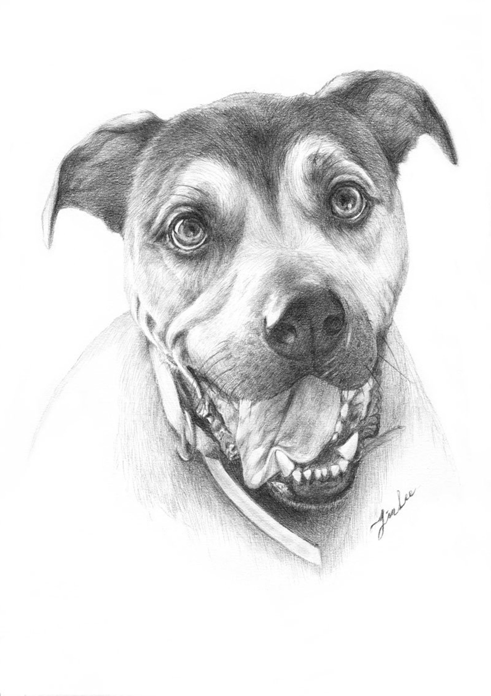 Custom Portrait Pet Portrait Drawingdog Cat. Etc Pencil Etsy Australia