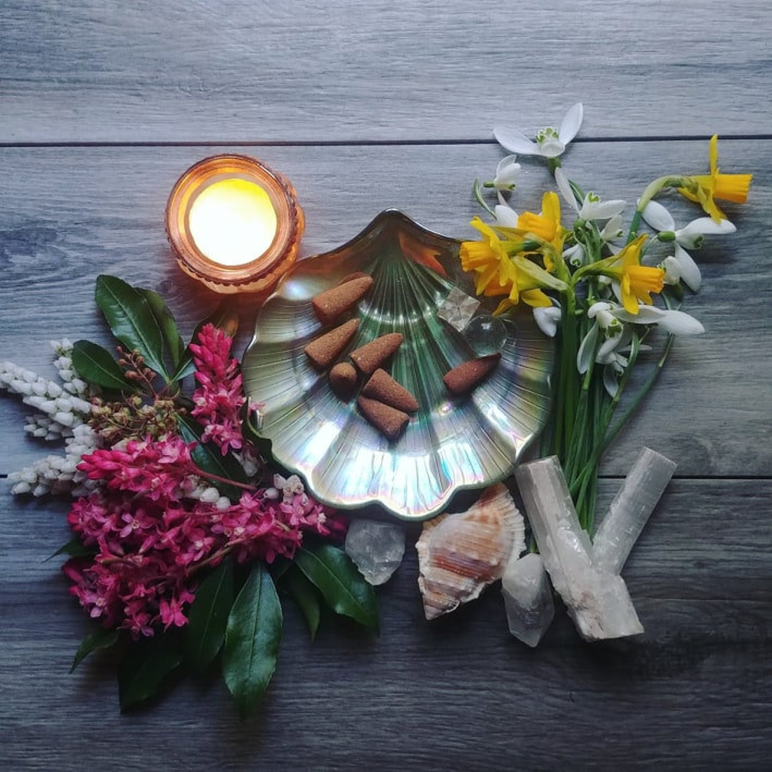 Herbal Incense Cones Bay Leaf 12 Pcs Etsy