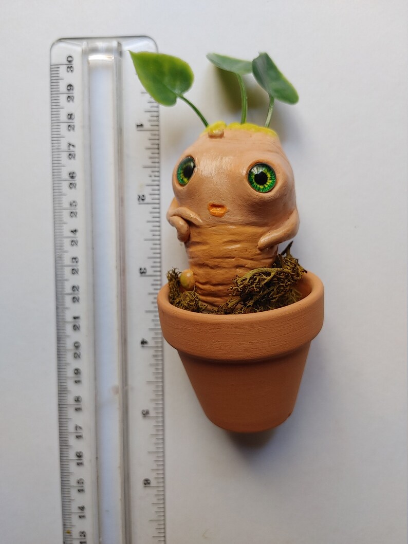 Root Babies Doll and Free Postcard of Baby Mandrake Root Etsy