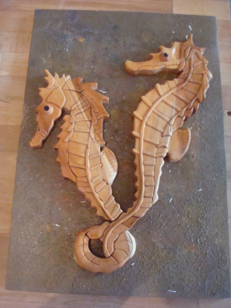 sea horses image 1