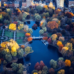 Boston Public Garden from Above - Boston -  Cityscape - Aerial  - artwork - Free Shipping