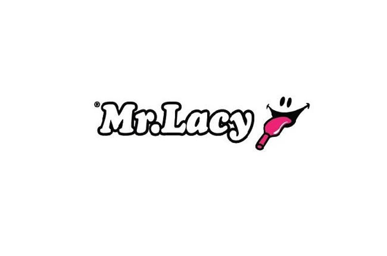 Premium Laces Flat Black Laces with Silver Metal Tip Shoelaces Mr Lacy Flatties
