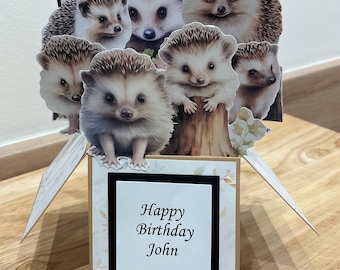 Hedgehog Pop Up Card Birthday