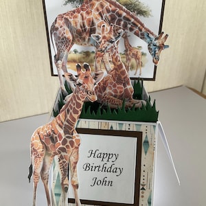 May include: A 3D birthday card with a giraffe family scene. The card features a brown and white patterned border and the text "Happy Birthday John". The giraffes are brown with tan spots, set against a savanna backdrop.