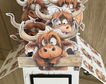 Comedy Highland Cow Pop Up Card Birthday