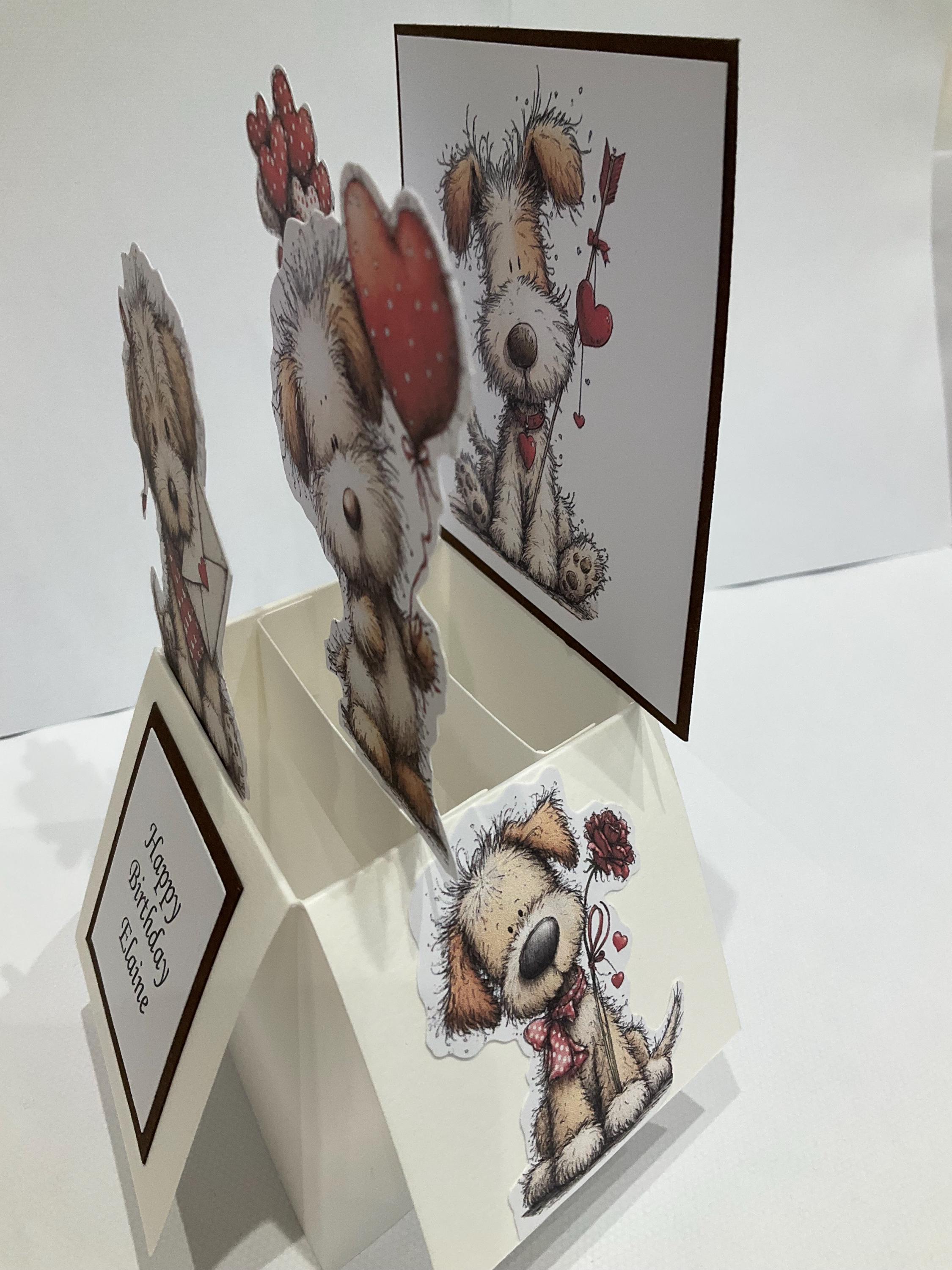 Birthday Dog Pop up Box Birthday Card - Etsy UK