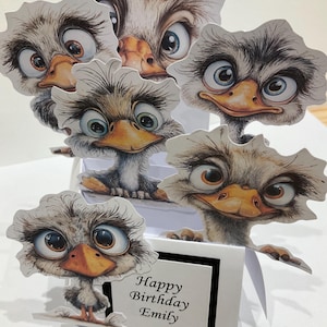 May include: A birthday card with a pop-up design, showcasing cartoon ostriches with large eyes and orange beaks. The card reads "Happy Birthday Emily". The ostriches are arranged to give a 3D effect, making the card visually engaging.